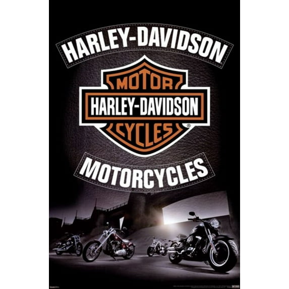 Harley Davidson - Leather Poster (24 x 36)