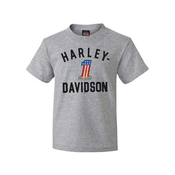 Harley-Davidson Little Boys' #1 Short Sleeve Toddler Tee - Athletic Gray (2/3T), Harley Davidson