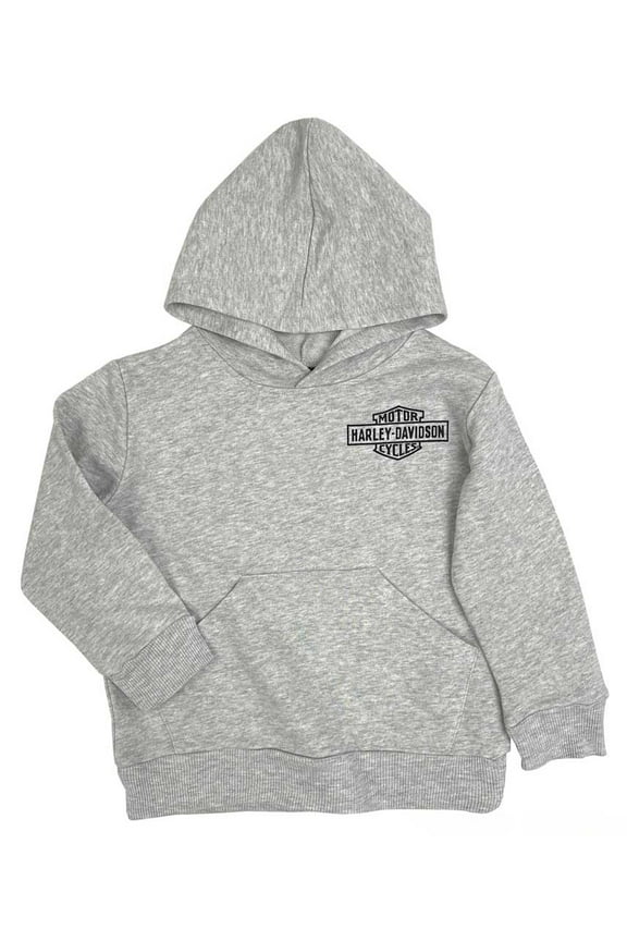 Little Boys' B&S Logo Fleece Terry Pullover Hoodie - Gray (6/7), Harley Davidson