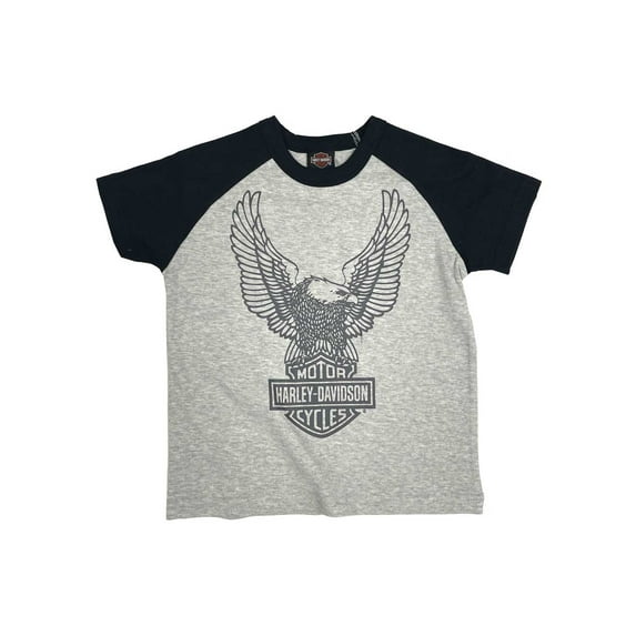 Harley-Davidson Little Boys' Colorblocked Short Sleeve Raglan Tee - Gray (4/5), Harley Davidson