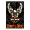 thumbnail image 1 of Harley-Davidson Live To Ride Decorative Flag, 29 x 43in - Orange/Black 13S4907FB, Harley Davidson, 1 of 2