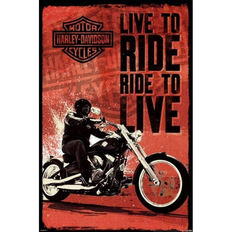 Harley Davidson - Live to Ride Laminated Poster (24 x 36