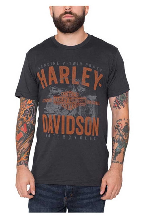 Men's Backdrop Distressed Short Sleeve Tee, Graphite Black (XL), Harley Davidson