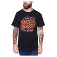 thumbnail image 1 of Harley-Davidson Men's Brush Spring Short Sleeve Crew-Neck Cotton T-Shirt (4XL), Harley Davidson, 1 of 2