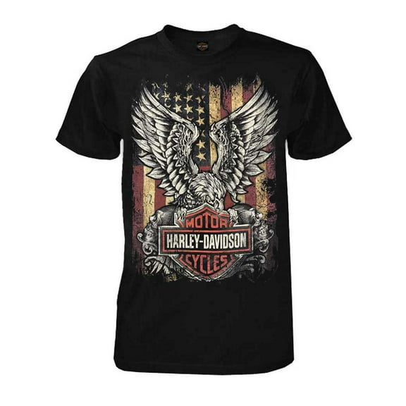 Harley-Davidson Men's Custom Freedom Short Sleeve Crew Neck Tee - Black (4XL), Harley Davidson