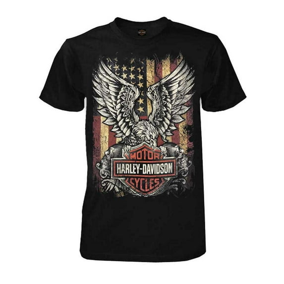 Harley-Davidson Men's Custom Freedom Short Sleeve Crew Neck Tee - Black (4XL), Harley Davidson