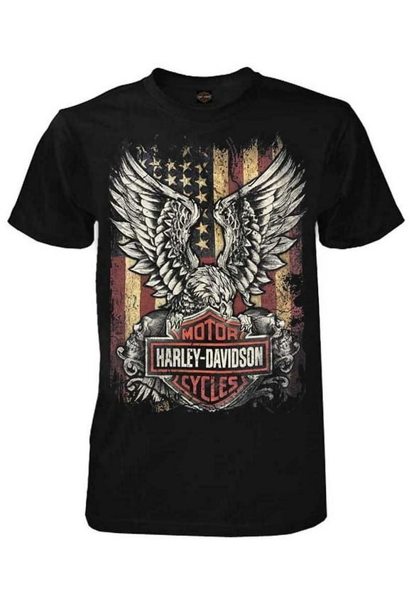 Men's Custom Freedom Short Sleeve Crew Neck Tee - Black (XL), Harley Davidson