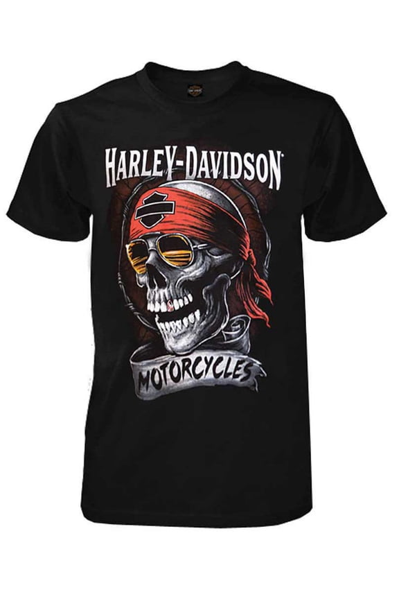 Men's Distressed Shady Skull Short Sleeve T-Shirt, Black (L), Harley Davidson