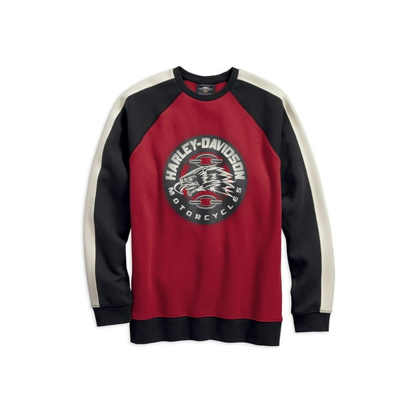 Harley-Davidson Men's Eagle Profile Pullover Fleece - 96595-19VM