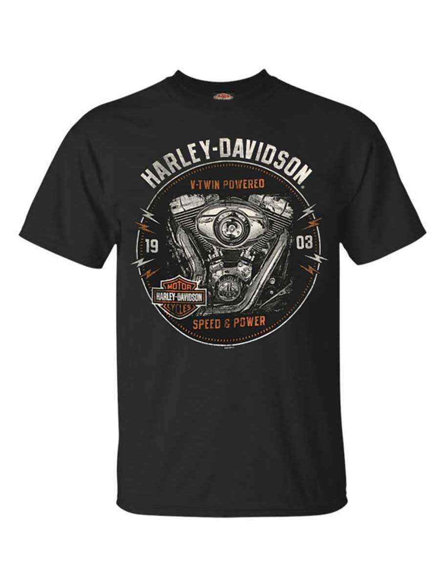 Harley-Davidson Men's Engine Grunge Short Sleeve Crew Neck T-Shirt ...