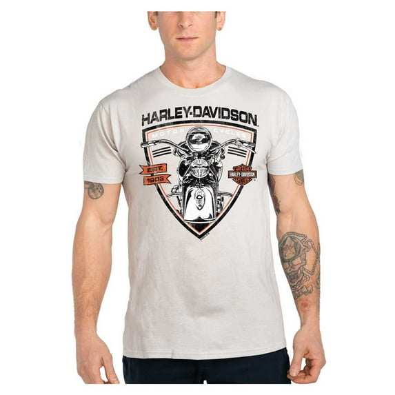 Harley-Davidson Men's Handle This Motorcycle Crew-Neck Short Sleeve T-Shirt (L), Harley Davidson