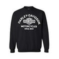 thumbnail image 1 of Harley-Davidson Men's Remarkable Crew-Neck Pullover Fleece Sweatshirt (S), Harley Davidson, 1 of 2