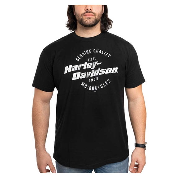 Harley-Davidson Men's Simple Distressed Crew-Neck Short Sleeve Shirt (3XL), Harley Davidson