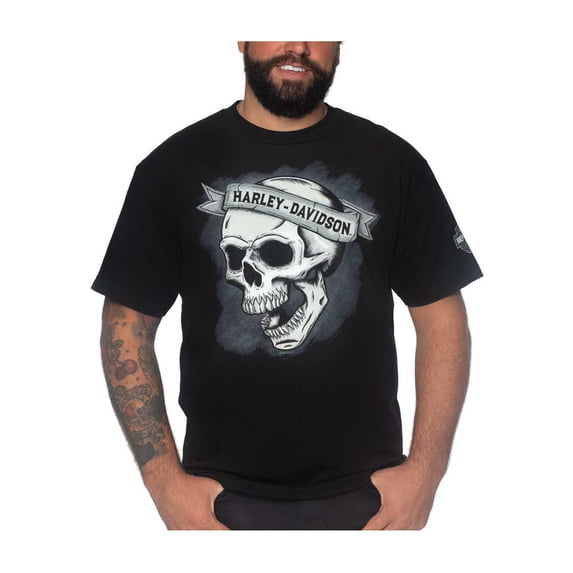 Harley-Davidson Men's Skull Banner Short Sleeve Crew-Neck T-Shirt - Black (4XL), Harley Davidson