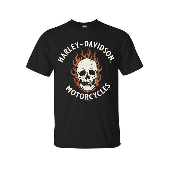 Harley-Davidson Men's Spooky Skull Short Sleeve Cotton T-Shirt, Black (XL), Harley Davidson
