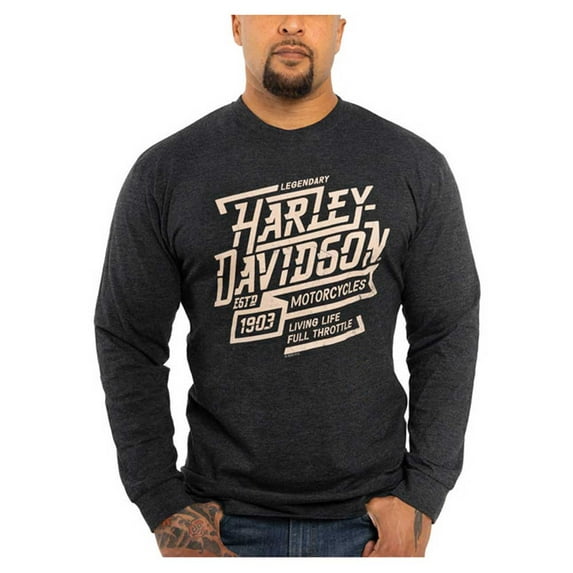 Harley-Davidson Men's Thunder Long Sleeve Crew-Neck Shirt - Vintage Black (L), Harley Davidson