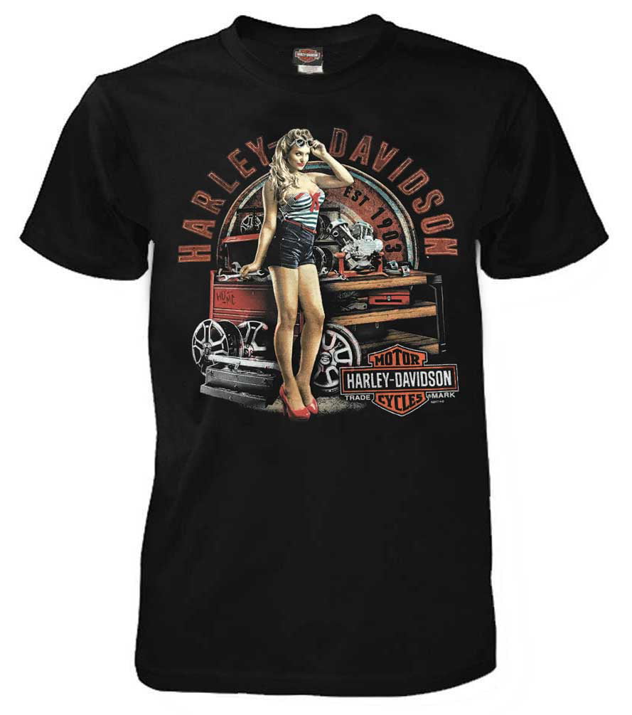 Harley-Davidson Men's Timeless Attraction Short Sleeve T-Shirt 5L33 ...