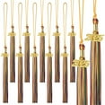 thumbnail image 1 of Harlier 10 Pieces 2025 Graduation Cap Tassel With Year Gold Charms Decoration - Graduation Season Accessories for Graduate Hat Ceremonies, 1 of 9