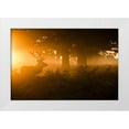 thumbnail image 1 of Harling, Stuart 18x13 White Modern Wood Framed Museum Art Print Titled - Stag in the mist, 1 of 4