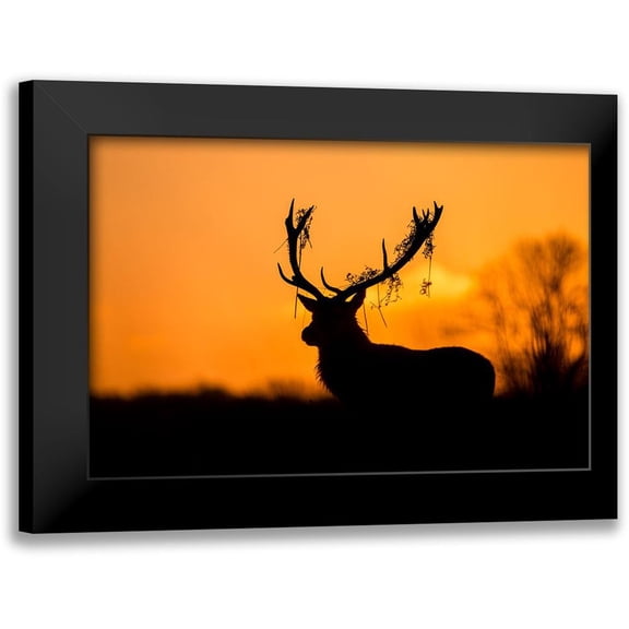 Harling, Stuart 24x17 Black Modern Framed Museum Art Print Titled - Red Deer Stag Silhouette