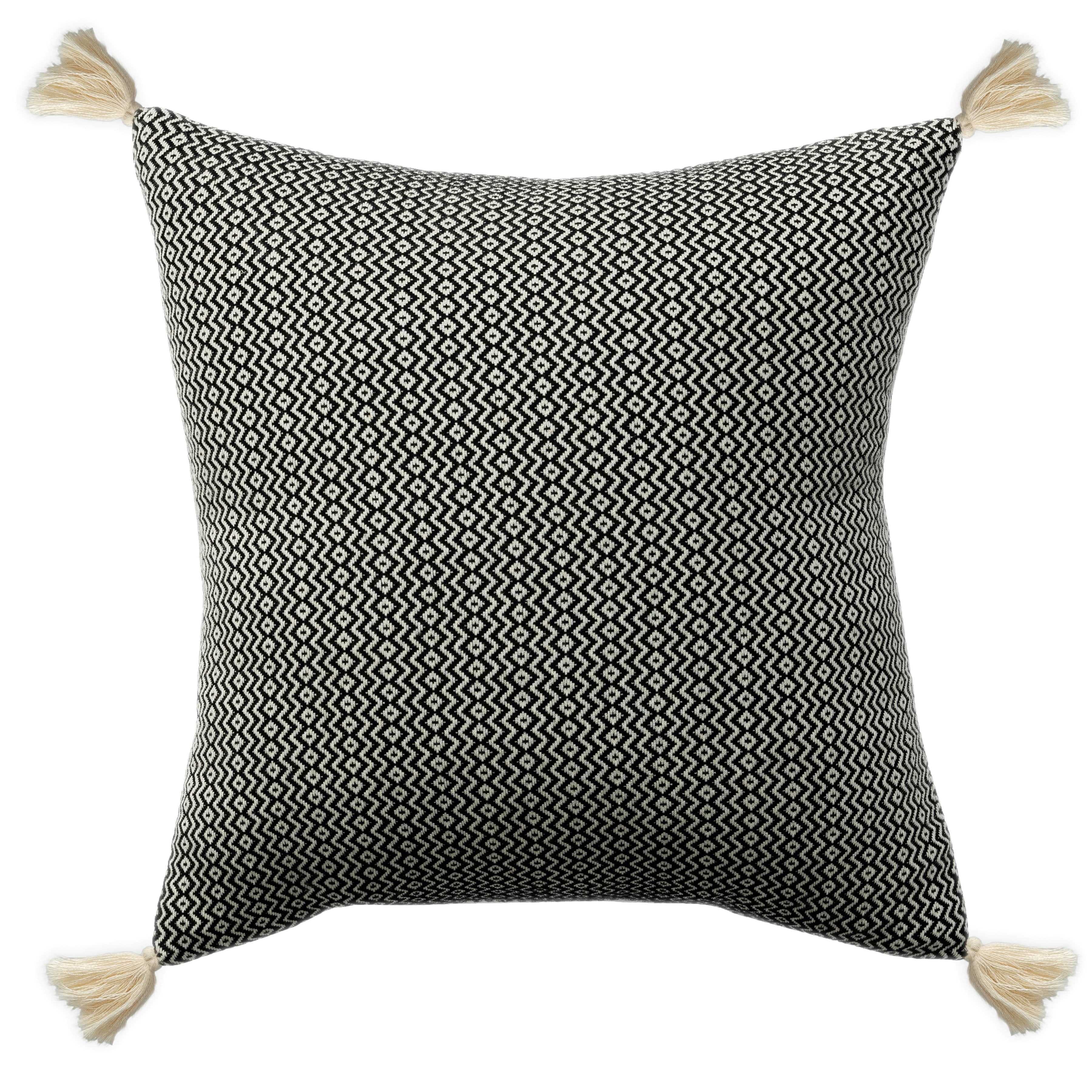 Harlow Hill Sasha 18" x 18" Black Geometric Cotton Adult Decorative Throw Pillow Cover