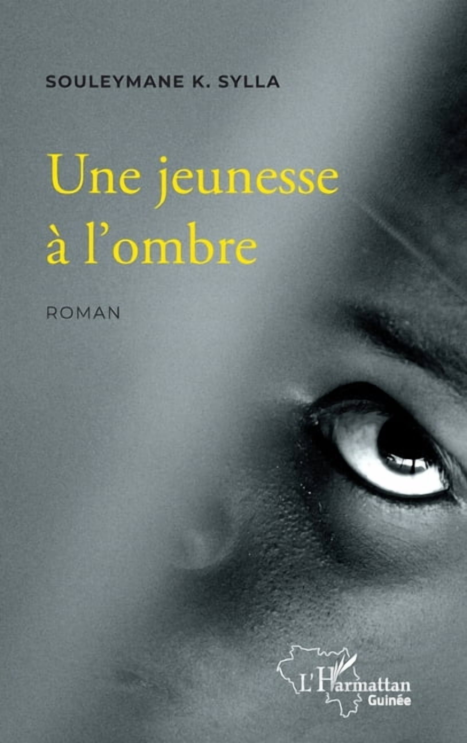Harmattan GuinÃ©e Une jeunesse Ã  l'ombre, (Paperback)