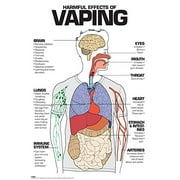 Harmful Effects of Vaping Laminated Poster (24" x 36")