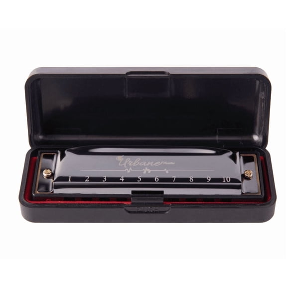 Harmonica 10 Holes 20 Tunes Mouth Organ Blues Deluxe Harmonica, Key of C for Beginner, Adults, Kids Gift, Black