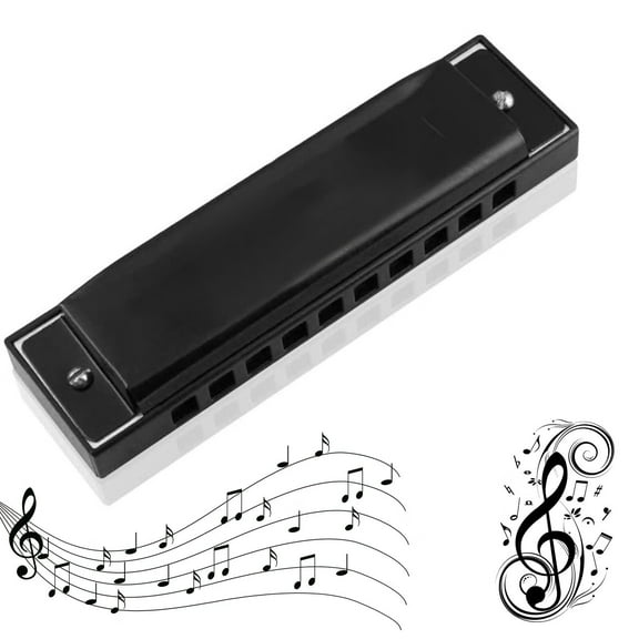 Harmonica Mouth Organ 10 Hole C Key with Case, Diatonic Harmonica for Professional Player, Beginner, Students gifts, Adult, Friends, Gift Black