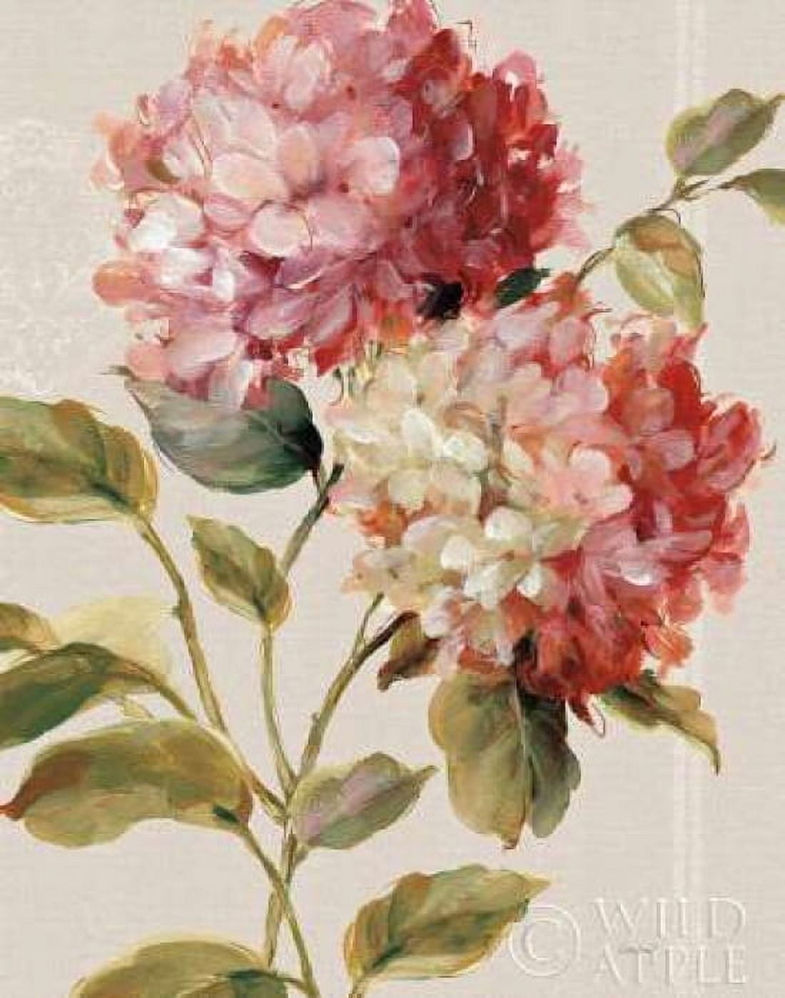 Harmonious Hydrangeas Linen Canvas Art - Lisa Audit (22 x 28)