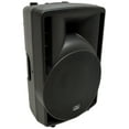 Harmony Audio HA-C12A Pro DJ Concert Series 12