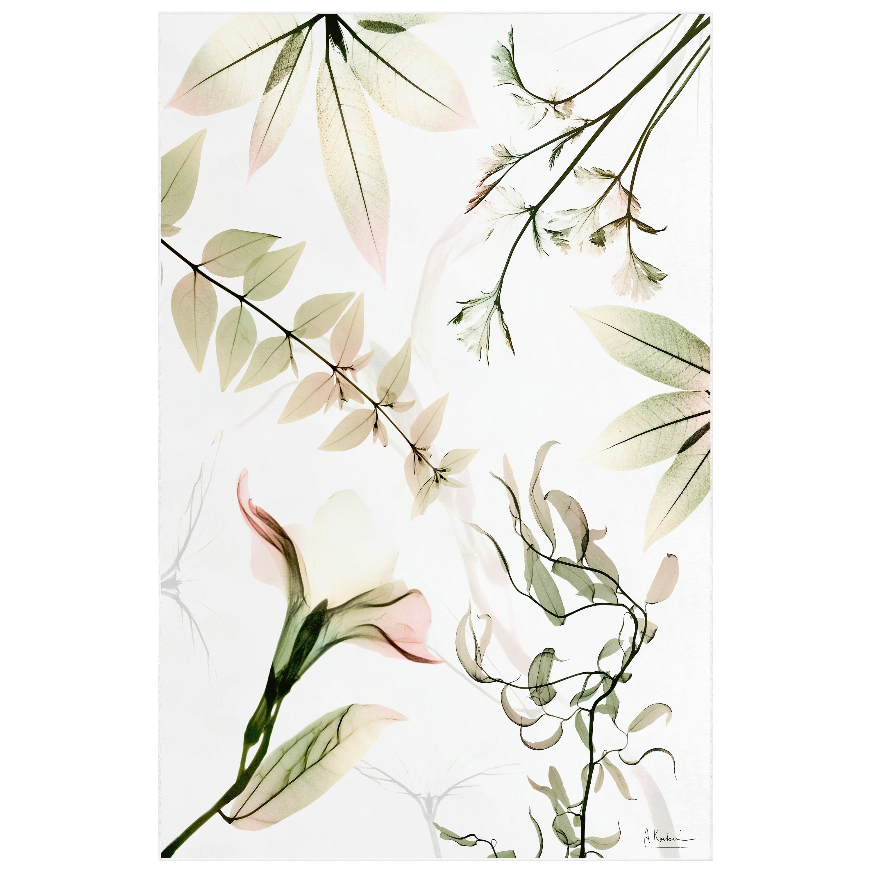 Harmony Of Existence Washable Flowers Art Area Rug size 5'x8', Power-loomed, Heavenly Softness with Non-Slipping Backing