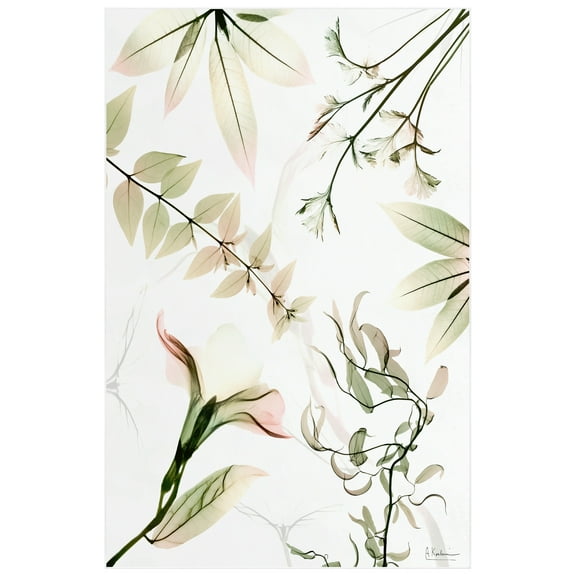 Harmony Of Existence Washable Flowers Art Area Rug size 5'x8', Power-loomed, Heavenly Softness with Non-Slipping Backing