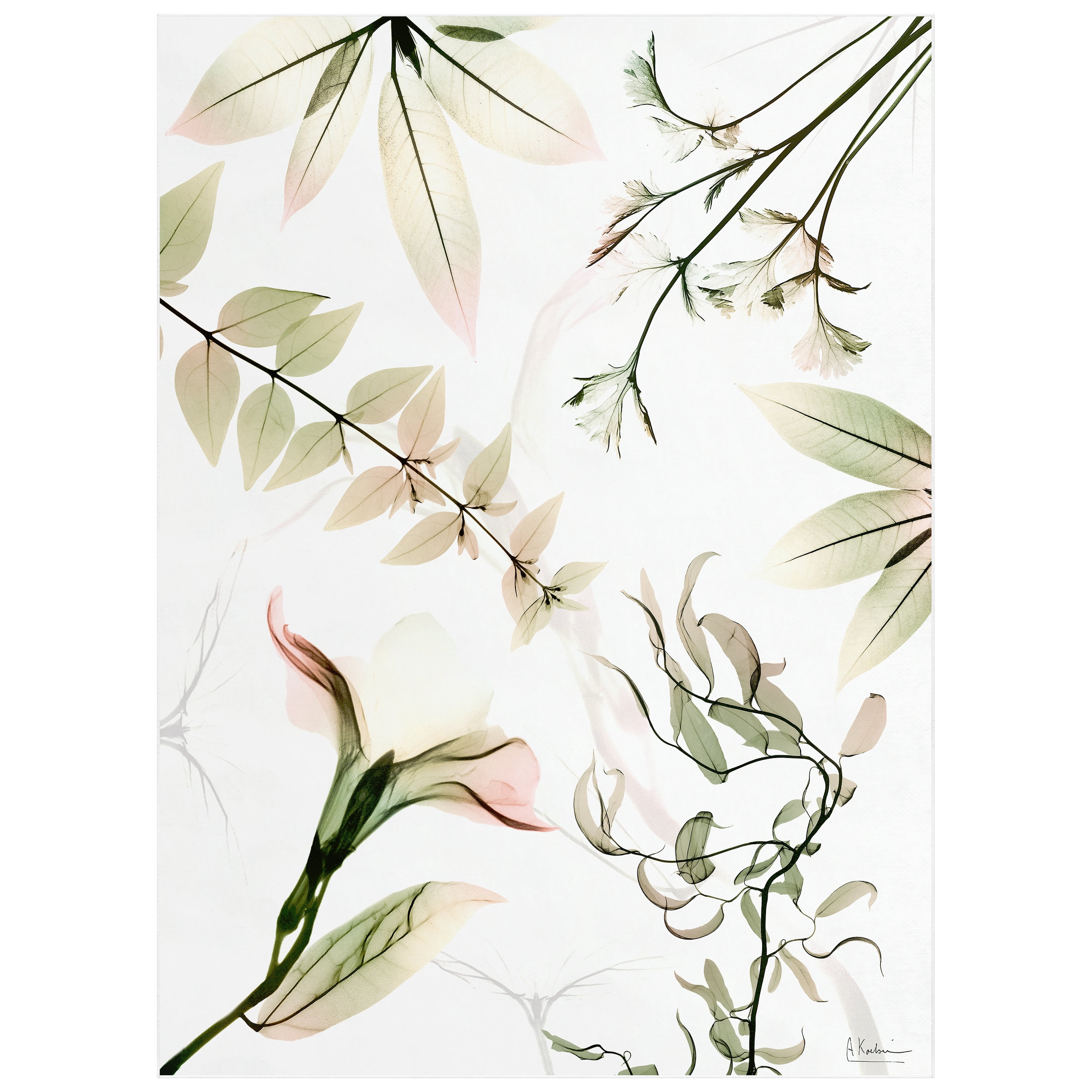 Harmony Of Existence Washable Flowers Art Area Rug size 8'x10', Power-loomed, Heavenly Softness with Non-Slipping Backing