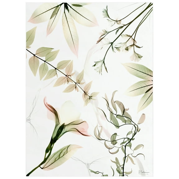 Harmony Of Existence Washable Flowers Art Area Rug size 8'x10', Power-loomed, Heavenly Softness with Non-Slipping Backing