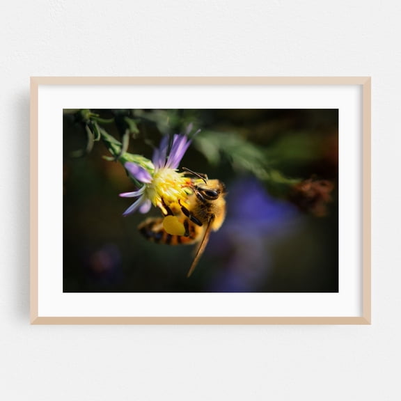 Harmony in Nature - Photography Insect Wildlife Nature Floral Garden Botanical Animal Oak Framed Wall Art Print 20 x 30 inches