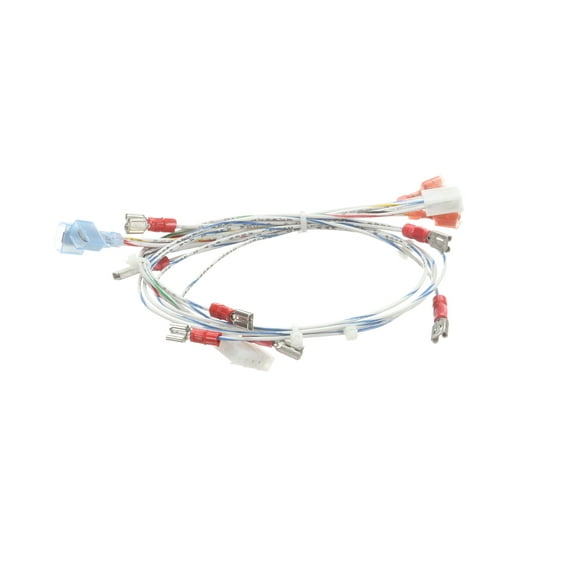 Lang Harness 24V/Ctl Slt-Overtemp 2E-XL-587-W1 - Genuine OEM Replacement Part