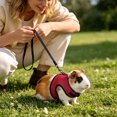 thumbnail image 1 of Harness and Leash Set for Small Animals Adjustable Mesh Vest with Lead Comfort Breathable Walking Gear for Guinea Pigs Rabbits and Outdoor Walking Control, 1 of 4