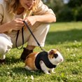 thumbnail image 1 of Harness and Leash Set for Small Animals Adjustable Mesh Vest with Lead Comfort Breathable Walking Gear for Guinea Pigs Rabbits and Outdoor Walking Control, 1 of 4
