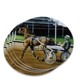 thumbnail image 1 of Harness Racing Track Horse Racer Novelty Coaster Set, 1 of 4