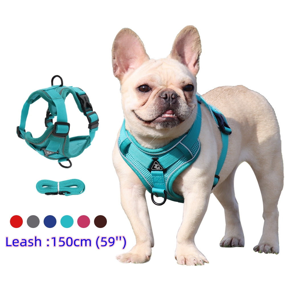 Harness and Leash Set Pet Accessories Dog Harness For Small Dog French Bulldog Pug Pitbull Puppy Pectoral Collar Chiens Supplies Walmart