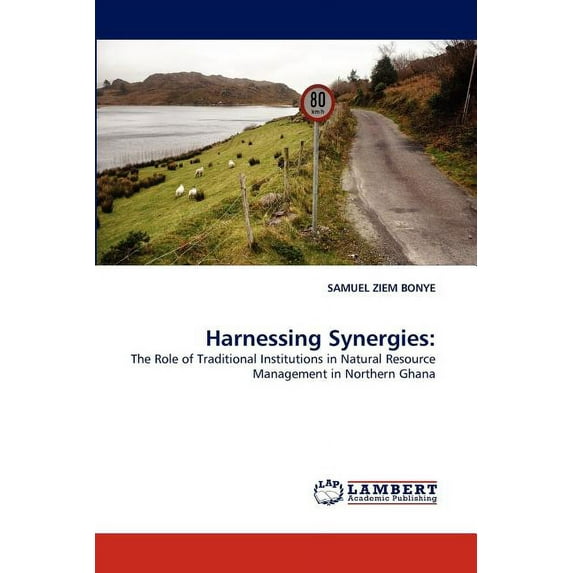 Harnessing Synergies (Paperback)