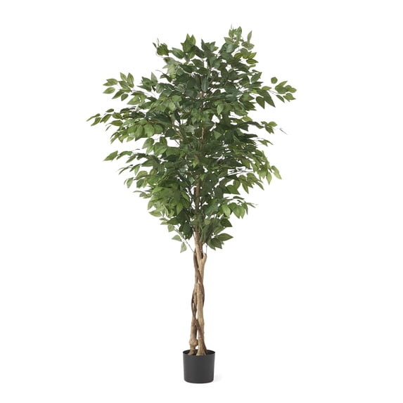Harney 6' x 2.5' Artificial Tabletop Ficus Tree, Green
