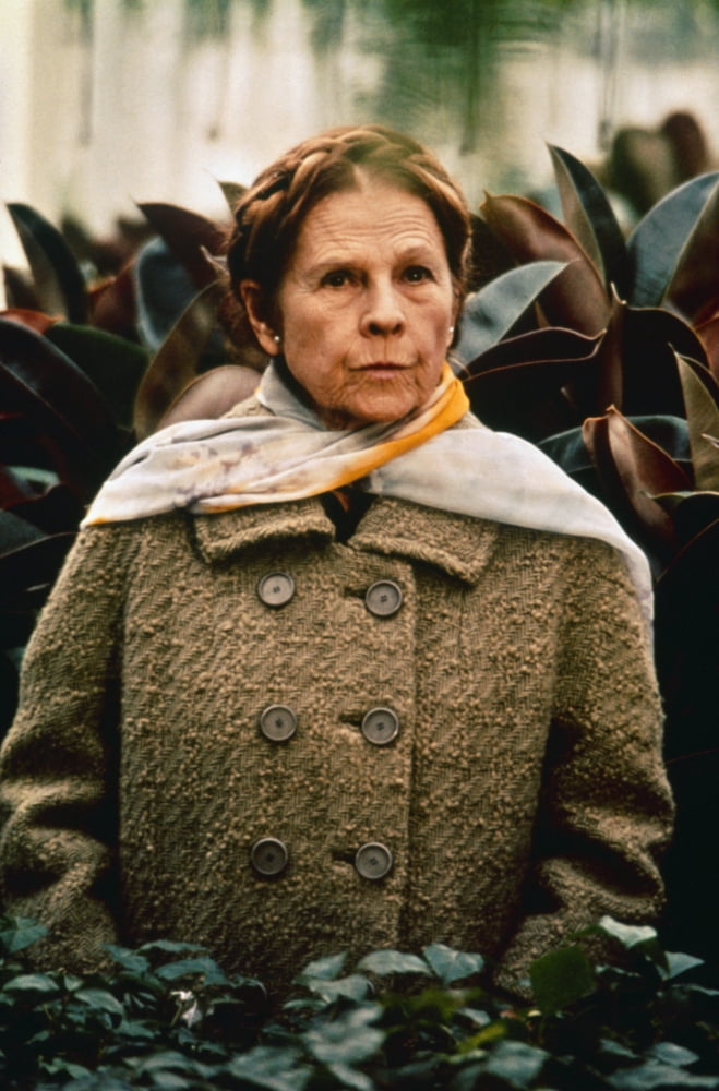 Harold And Maude Canvas Art - (16 x 20)