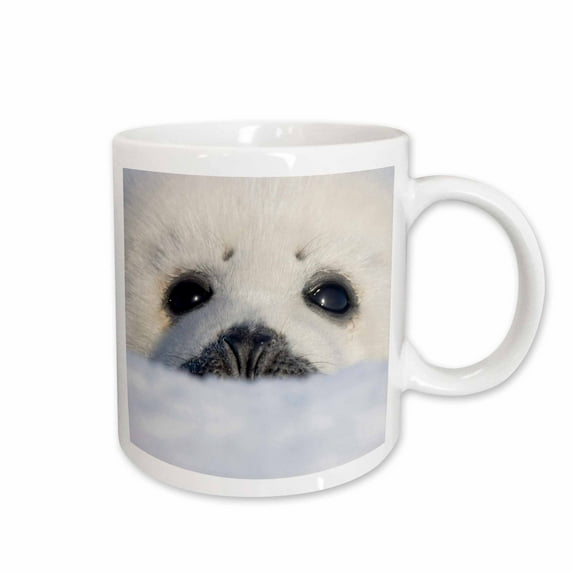 3drose, Harp Seal Pup, Iles De La Madeleine, Quebec, Canada - Cn10 Ksu0035 - Keren Su, 11oz Mug