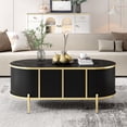 thumbnail image 1 of Harper & Bright Designs Oval Fluted Coffee Table with Storage, Gold Center Table with 2 Cabinets for Living Room, Black, 1 of 17