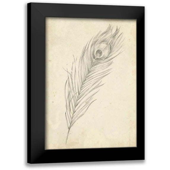 Harper, Ethan 11x14 Black Modern Framed Museum Art Print Titled - Peacock Feather Sketch II