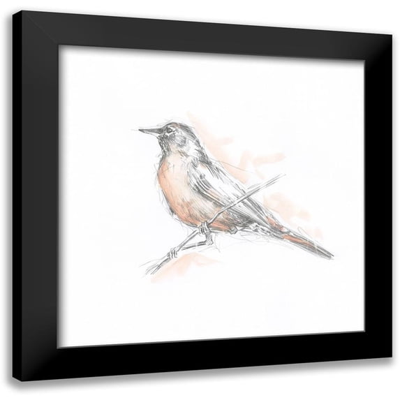 Harper, Ethan 12x12 Black Modern Framed Museum Art Print Titled - Robin Bird Sketch II