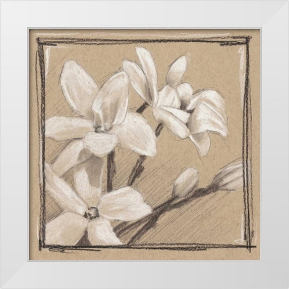 Harper, Ethan 12x12 White Modern Wood Framed Museum Art Print Titled - White Floral Study III