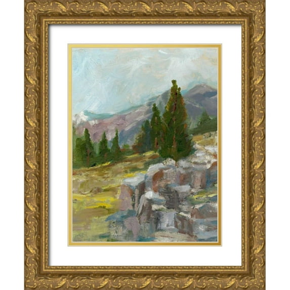 Harper, Ethan 12x14 Gold Ornate Wood Framed with Double Matting Museum Art Print Titled - Rocky Hillside II